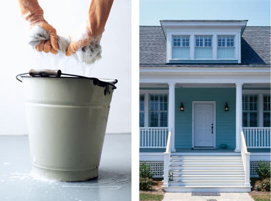 Mold and mildew
