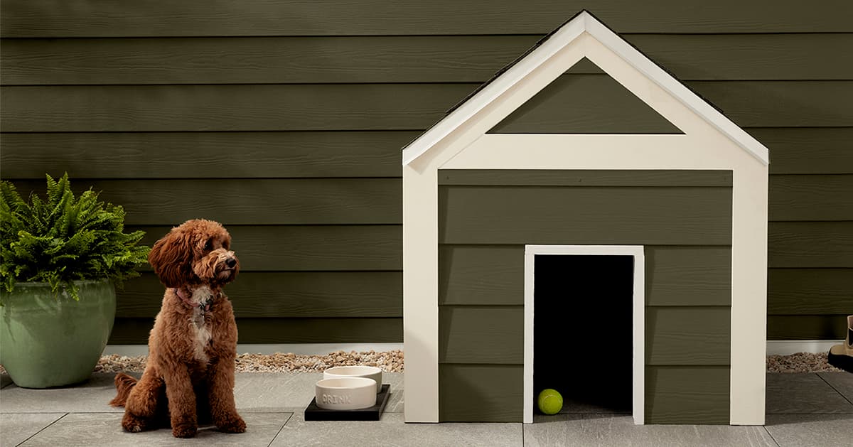 Mountain Sage Green Siding Dog House