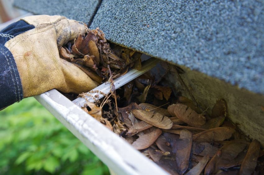 Prepare Your Home for Winter: CLEAN OUT GUTTERS Gloved hand removing leaves from a gutter
