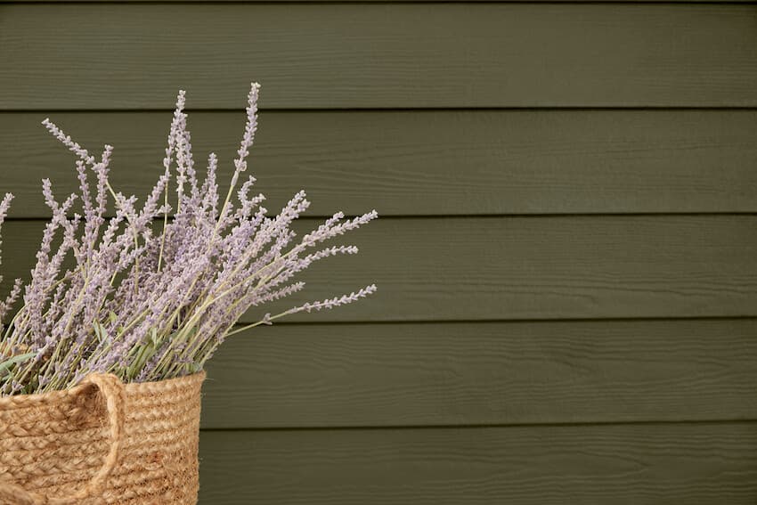 HardiePlank Lap Siding Installation by Tilaka Creative Florida HardiePlank Lap Siding on Florida Home