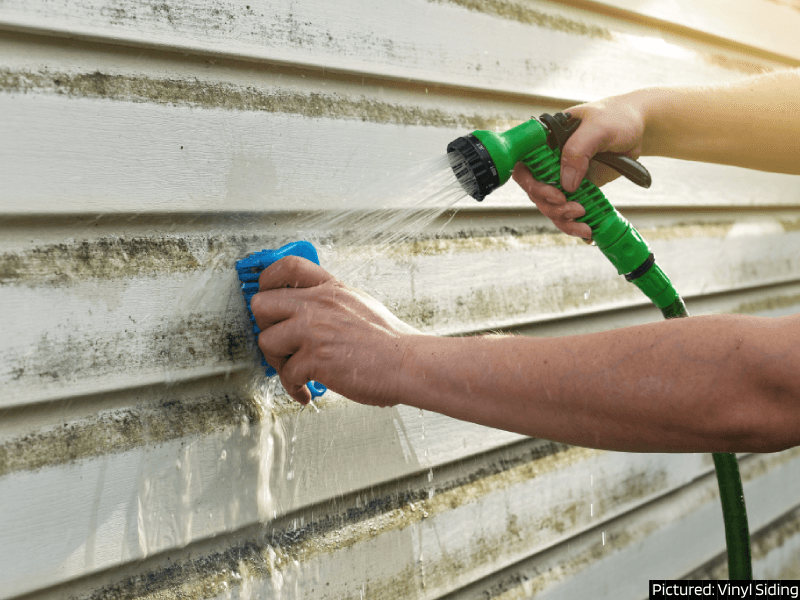 Prepare Your Home for Winter: Wash your siding Cleaning algae off of vinyl siding with a garden hose and a sponge