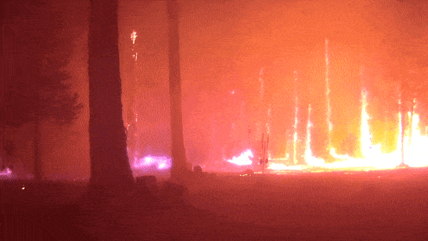 Wildfire-Video-1.gif